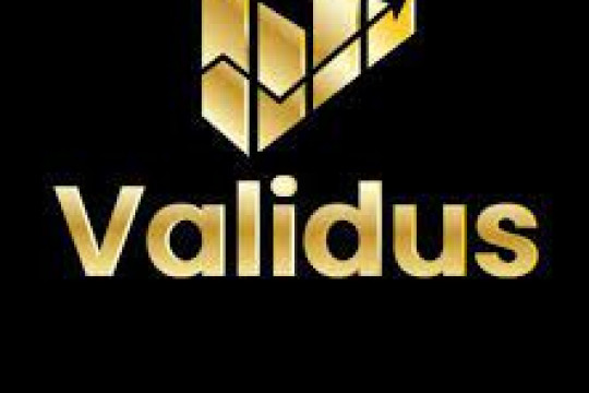 Validus Reviews, And How To Recover your Assets From Validus Scam.