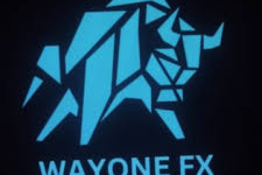 How can I recover my money From WayOne FX